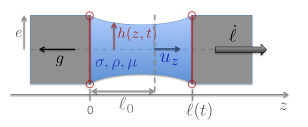 theoretical liquid bridge